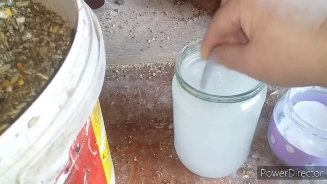 ✔Сода для Кур!/Что Нужно для 100% Яйценоскости!/Зачем Это Курам Несушкам/Утренняя Мешанка для Кур. смотреть онлайн