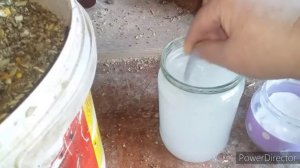 ✔Сода для Кур!/Что Нужно для 100% Яйценоскости!/Зачем Это Курам Несушкам/Утренняя Мешанка для Кур.