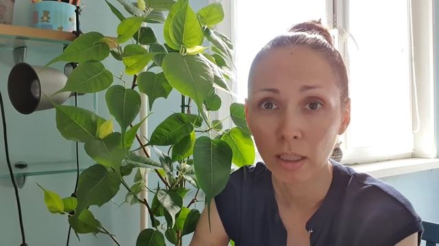 Интенсивная практика йоги, заедание стресса, медитация. Екатерина Андросова смотреть онлайн