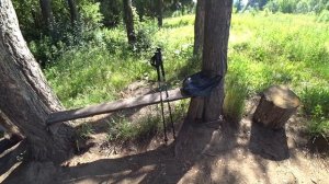 Экотропа  Наедине с природой. Пермь. 9 июля 2024