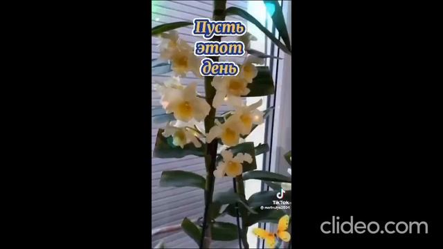 ночь 27.07 смотреть онлайн