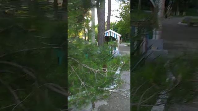 Кемпинг "Скала парус" в Прасковеевке смотреть онлайн