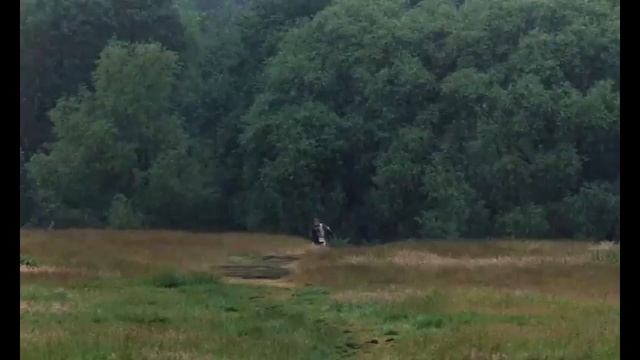 Monty Python Running Meme смотреть онлайн