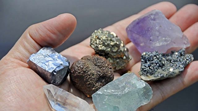 What Aloe Vera Does In Your Body Why Egyptians Called It The Plant Of Immortality смотреть онлайн