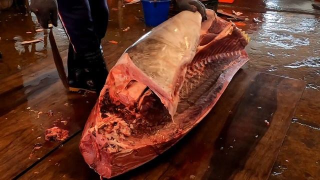 438kg Super-Giant Bluefin Tuna with Flawless Precision in Cutting смотреть онлайн