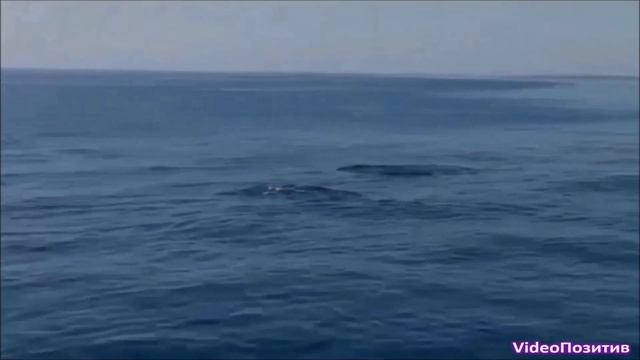 Крым Поселок Утес смотреть онлайн