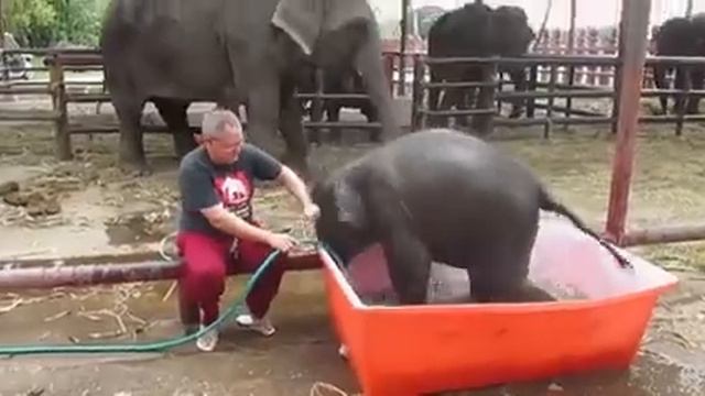 Все дети одинаковые!!! смотреть онлайн