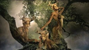 КАКОЕ ТЫ ДЕРЕВО ПО РОЖДЕНИЮ. ВЕДЬМИНА ИЗБА ИНГА ХОСРОЕВА.mp4