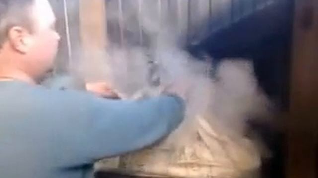 Гидротермия субстрата грибов Вешенки (hydrothermistry Substrate Oyster Mushrooms).wmv