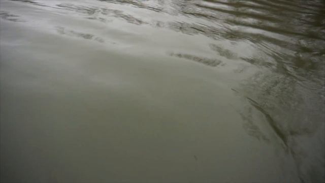 Поехали на избу поздней осенью за щукой смотреть онлайн