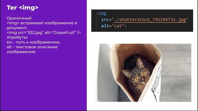 Урок №1. Основы HTML с нуля для начинающих (теория) смотреть онлайн