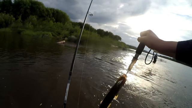 Вечерняя рыбалка , Щука , окунь , язь , судак // evening fishing (выпуск №16) смотреть онлайн