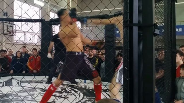 Шахты - "Кубок гладиаторов" Бои ММА - 9 (4K Ultra HD Video) смотреть онлайн