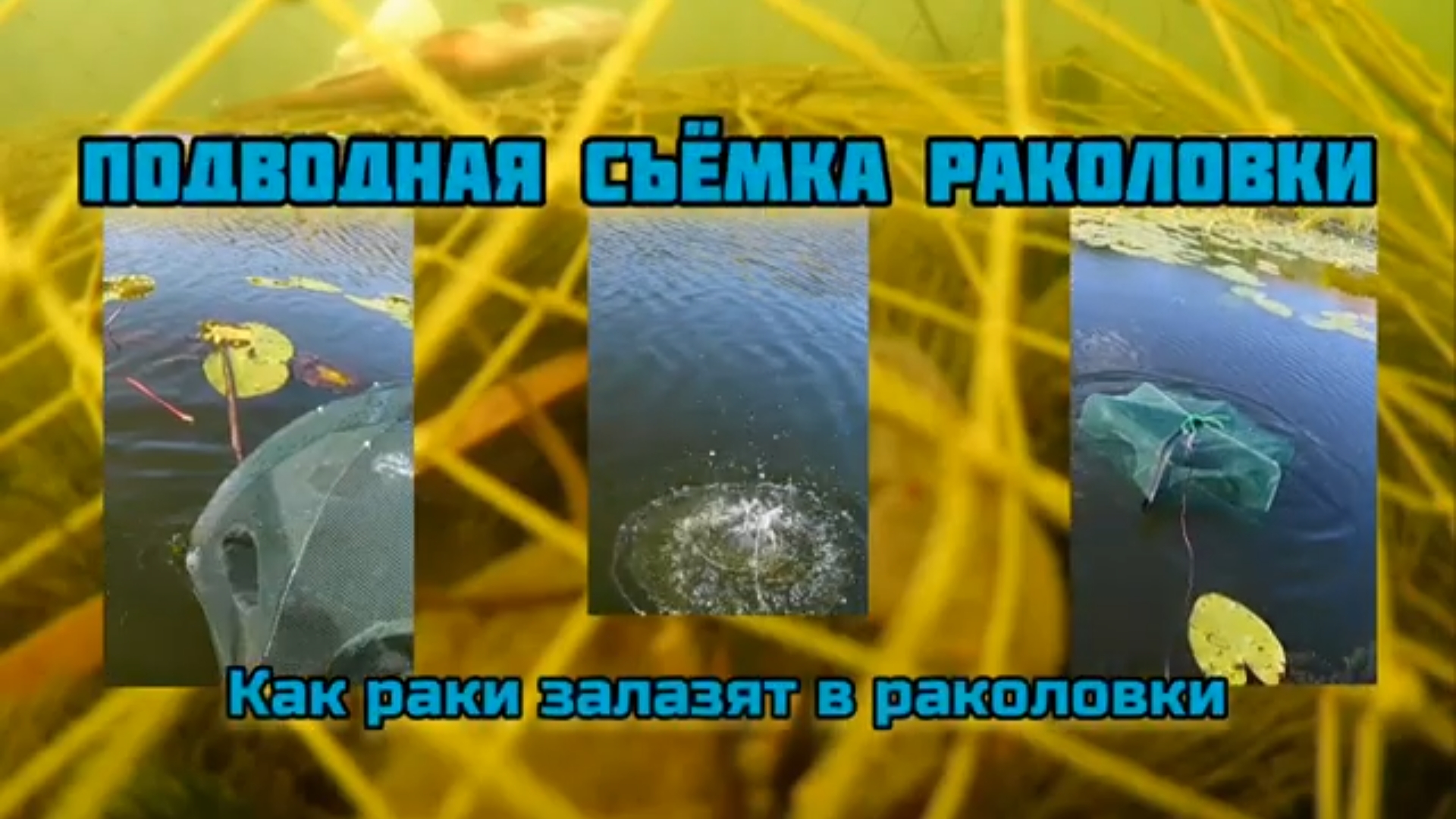 Подводная съёмка раколовок.? Как рак залазит в раколовку ?? смотреть онлайн