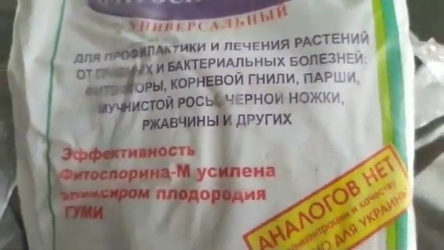 Цимбидиум.Реанимация.Посадка цимбидиума без корней. смотреть онлайн