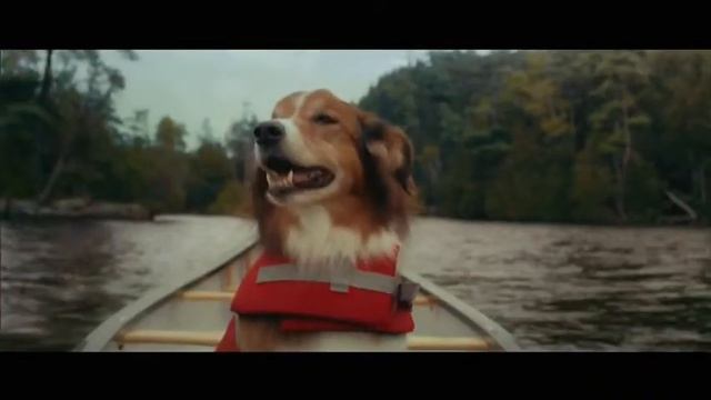 Subaru Forester 2019 - Gus Canoe Adventure смотреть онлайн