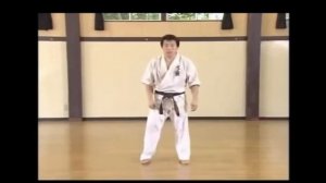 КУДО. История и развитие.