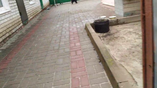 Дом Белгороде. 200кв. 15сток. 5.7мл руб. 8-952-434-02-87 смотреть онлайн
