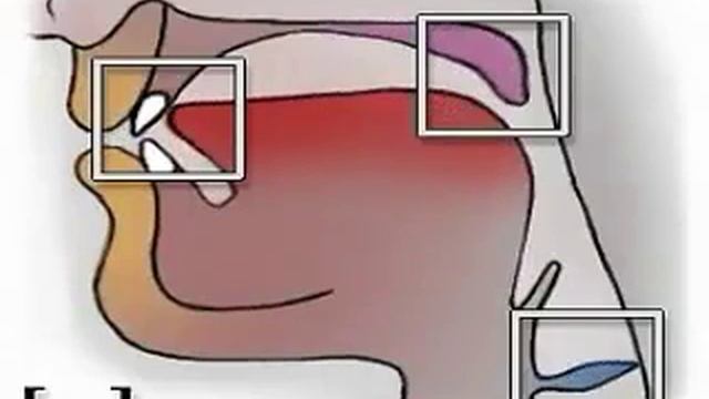 Артикуляция звука Н