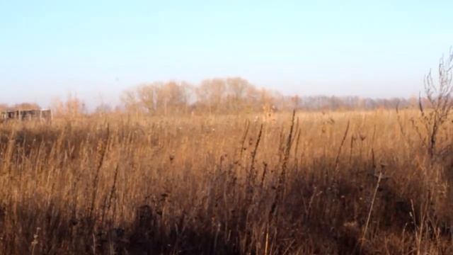 Продам земельный участок смотреть онлайн