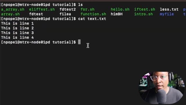 Linux File Descriptors смотреть онлайн