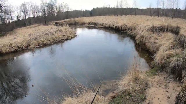 Форель. Хариус. Малая река. смотреть онлайн