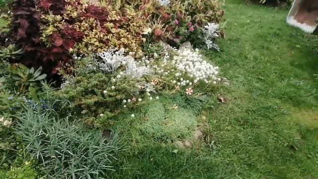 Обход участка и планы. смотреть онлайн