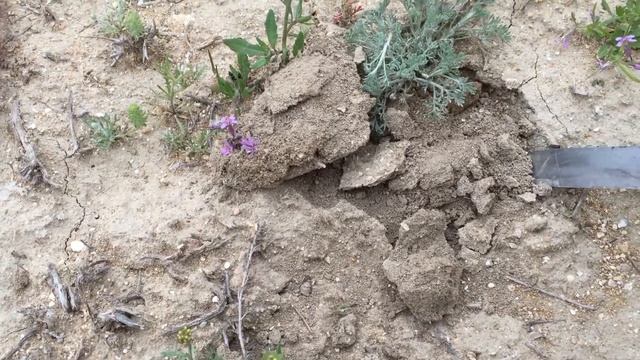 IMG 0837 смотреть онлайн