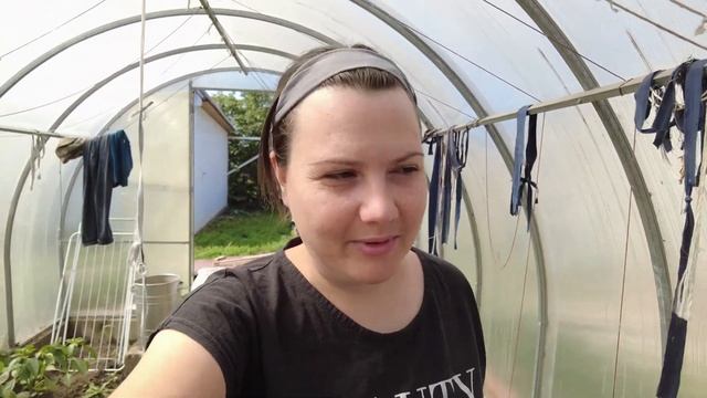 Первый урожай / Приучаем к самостоятельности детей / Обрабатываю огурцы.. смотреть онлайн