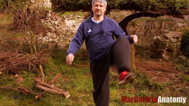 Брюс Ли - мастер Тэквондо? смотреть онлайн