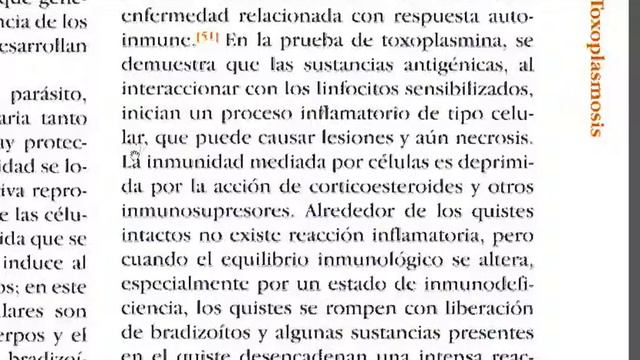 TOXOPLASMOSIS 9b BOTERO смотреть онлайн