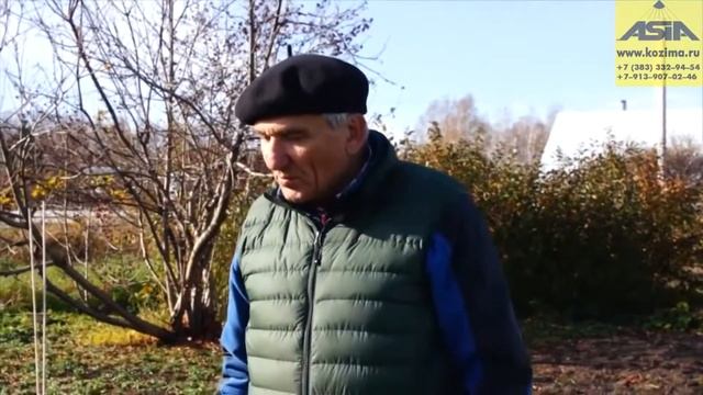 Кетмень Сибирский смотреть онлайн