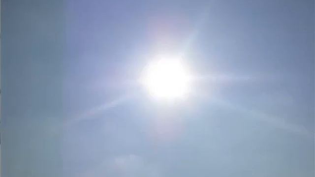 La GIROFLÉE du PRINTEMPS, une PLANTE à FLEURS FACILE - CULTURE et ENTRETIEN смотреть онлайн