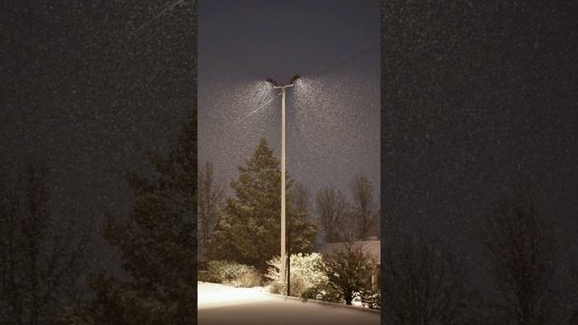 7 февраля Заговоры и приметы смотреть онлайн