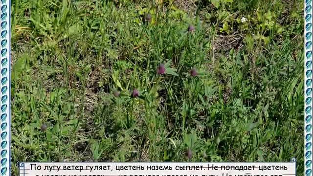 Экологическая сказка ""Старик и сова" в основе положена сказка В. Бианки "Сова" смотреть онлайн