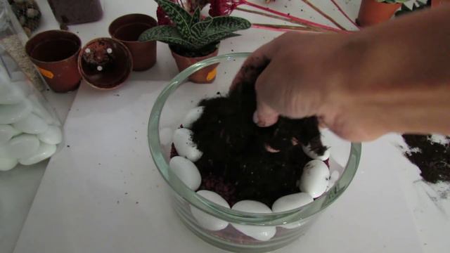 Sukkulenten im Glas * Planting Succulents смотреть онлайн
