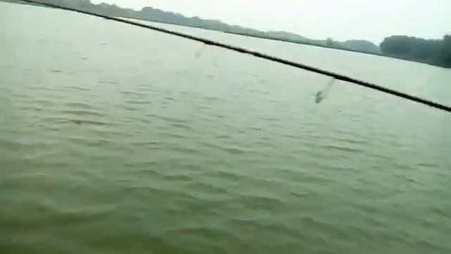 Рыбалка на протоках и озёрах Алтая . смотреть онлайн