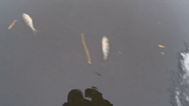 БЛЕСНА "КОРМЯЩИЙСЯ МАЛЕК" РАБОТАЕТ ИЛИ НЕТ?! смотреть онлайн