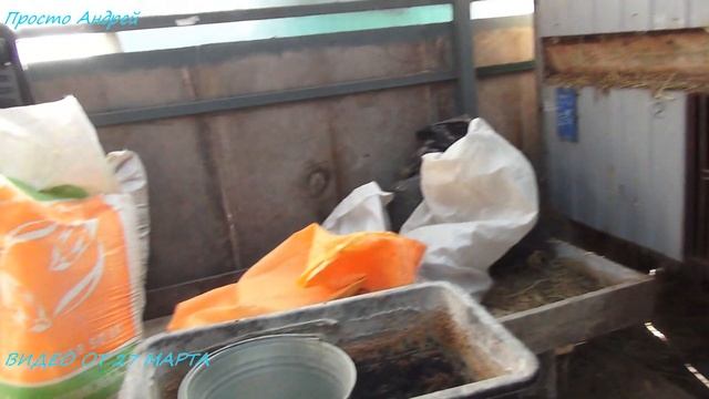 Нутрия и наша сельская жизнь изменение смотреть онлайн