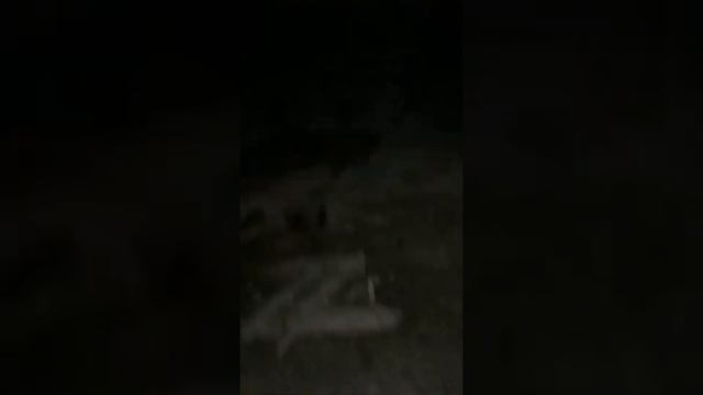 Мы с другом пошли в заброшку и нашли там такое смотреть онлайн