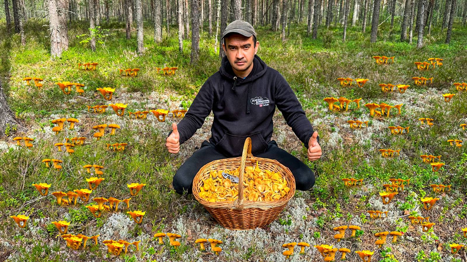 ТИХАЯ ОХОТА В СОСНОВОМ БОРУ! СОБРАЛ ОГРОМНУЮ КОРЗИНУ ГРИБОВ! ВОТ ОНО СЧАСТЬЕ ГРИБНИКА! ГРИБЫ 2023 смотреть онлайн