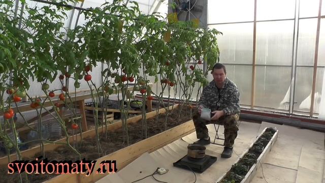 Табачная шашка в трое дешевле, проще простого смотреть онлайн