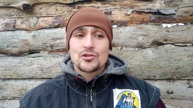 Собаки из приюта / Приюты для собак смотреть онлайн