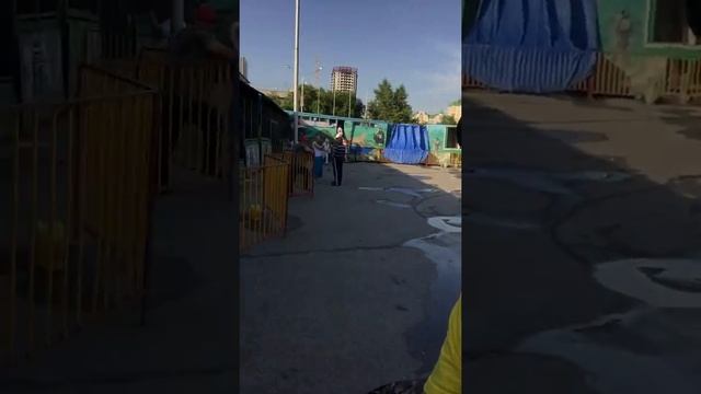 Страусы на улице. Кормим и гладим Страусов. Хорошая птичка. - Чакры ТВ смотреть онлайн