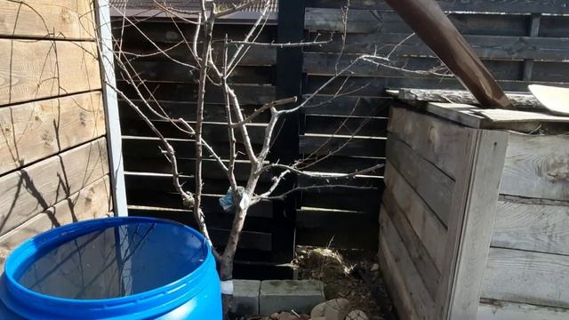 Как борюсь с муравьями на дачном участке. смотреть онлайн