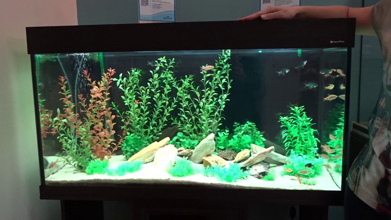 #Аквариумы #AquaPlus Серия LUX смотреть онлайн