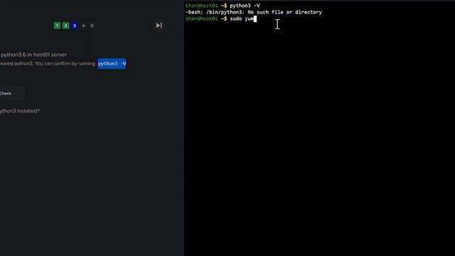 The AG DevOps Labs N°12: Mastering Python on Servers Installation, Management, and Script Execution смотреть онлайн