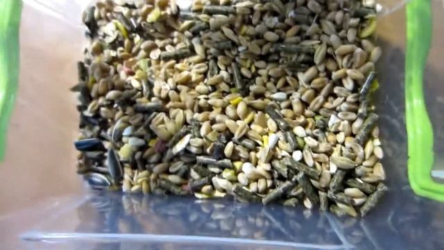 КОРМ ДЛЯ ГРЫЗУНОВ CRISPY MUESLI || Обзор на корм смотреть онлайн