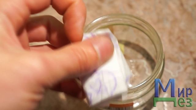 Серная шашка от клопов смотреть онлайн