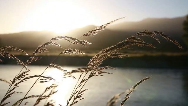 Омар Хайям о смысле жизни и смерти (лучшие афоризмы и цитаты) смотреть онлайн